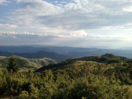Park Narodowy Kopaonik